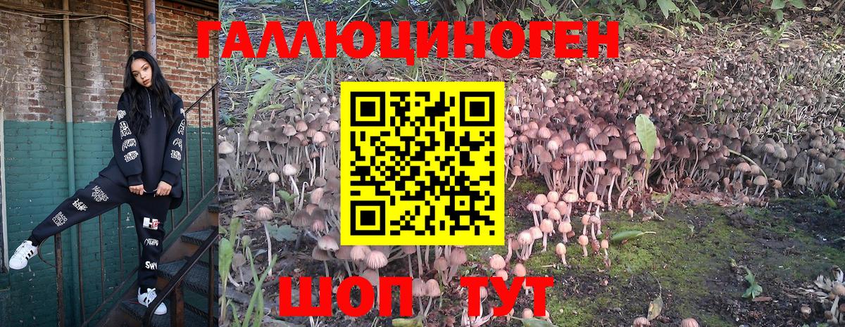 Галлюциногенные грибы Magic Shrooms Заволжье